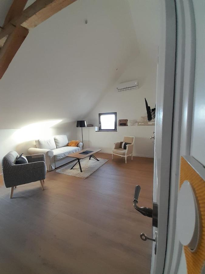 Le Repaire De Bacchus Apartamento Saint-Nicolas-de-Bourgueil Exterior foto